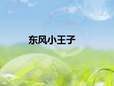 东风小王子