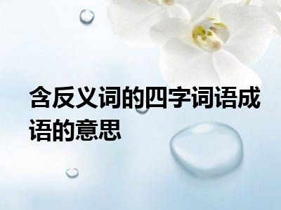 含反义词的四字词语成语的意思