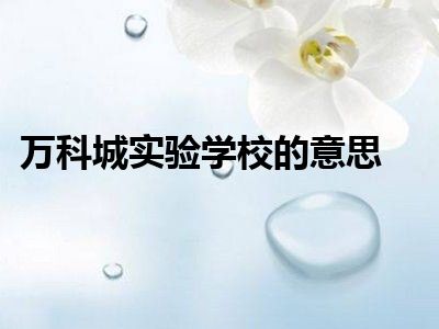 万科城实验学校的意思