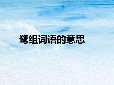 鹭组词语的意思