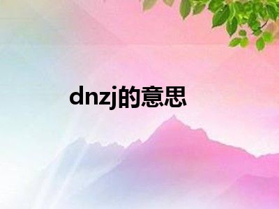 dnzj的意思