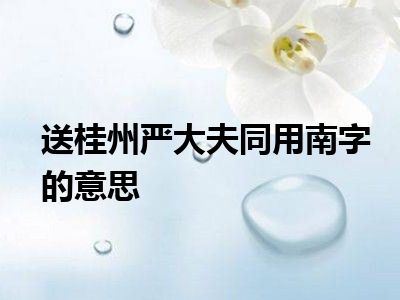 送桂州严大夫同用南字的意思