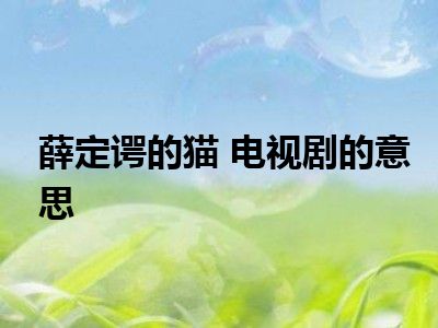 薛定谔的猫 电视剧的意思