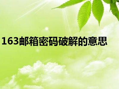 163邮箱密码破解的意思
