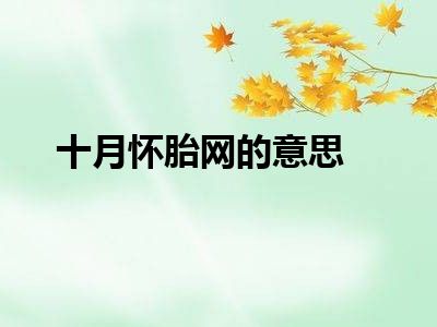 十月怀胎网的意思