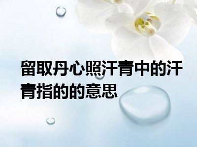 留取丹心照汗青中的汗青指的的意思