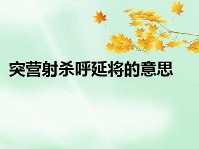 突营射杀呼延将的意思