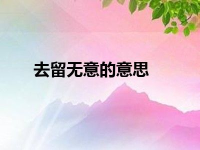 去留无意的意思