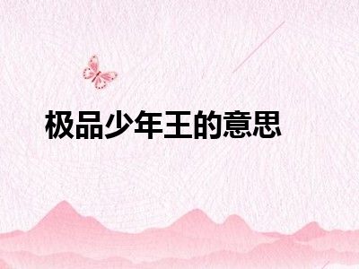 极品少年王的意思