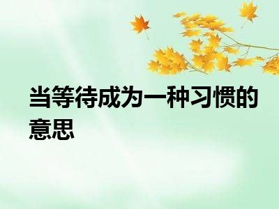 当等待成为一种习惯的意思