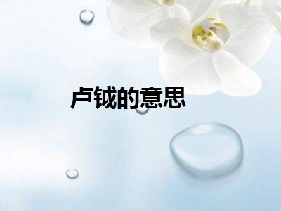 卢钺的意思