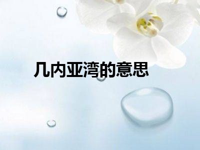 几内亚湾的意思