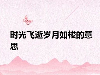 时光飞逝岁月如梭的意思