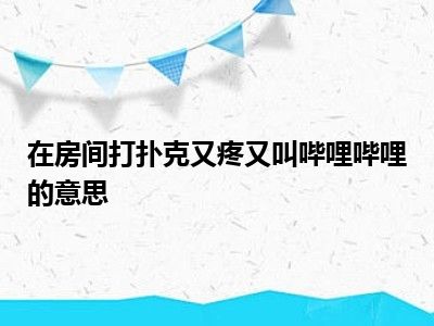 在房间打扑克又疼又叫哔哩哔哩的意思