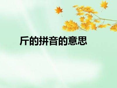 斤的拼音的意思
