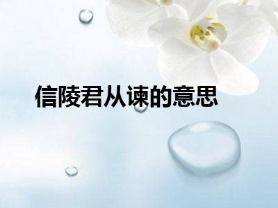 信陵君从谏的意思