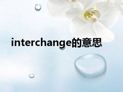 interchange的意思