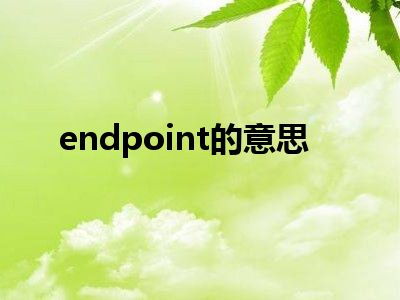 endpoint的意思