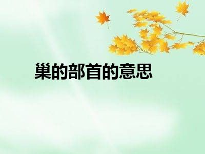 巢的部首的意思