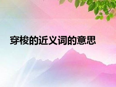 穿梭的近义词的意思