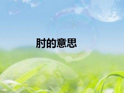 肘的意思