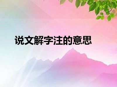 说文解字注的意思
