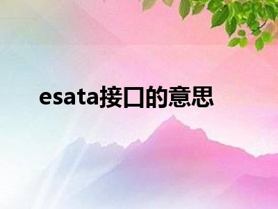 esata接口的意思