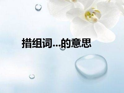 措组词...的意思