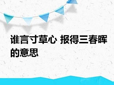谁言寸草心 报得三春晖的意思