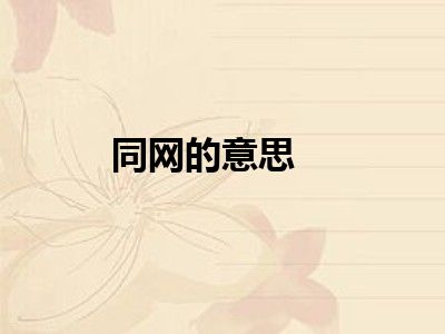 同网的意思