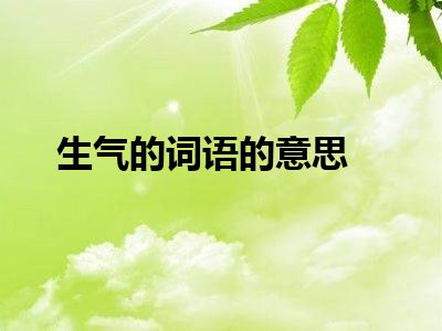 生气的词语的意思