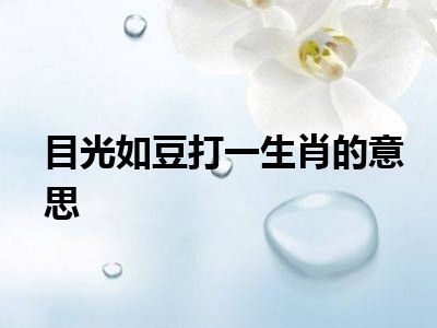 目光如豆打一生肖的意思