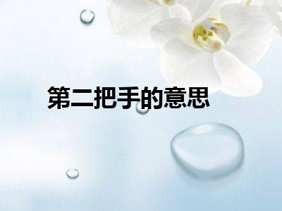 第二把手的意思