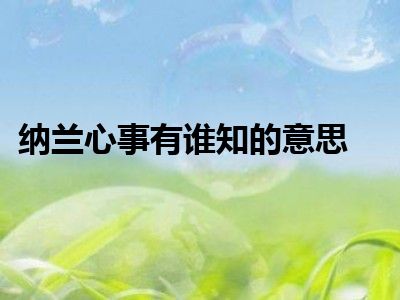 纳兰心事有谁知的意思
