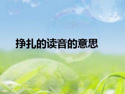 挣扎的读音的意思