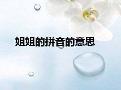 姐姐的拼音的意思