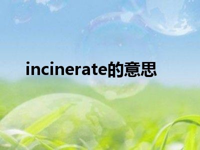 incinerate的意思