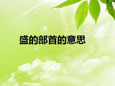 盛的部首的意思