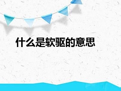 什么是软驱的意思
