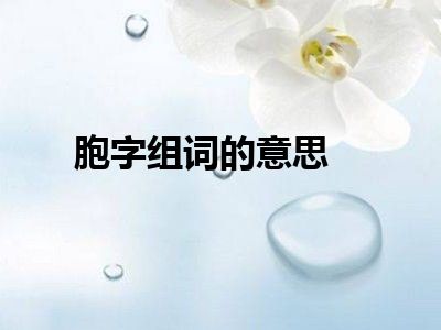 胞字组词的意思