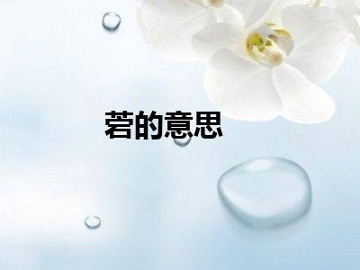菪的意思