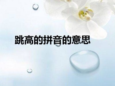 跳高的拼音的意思