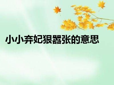 小小弃妃狠嚣张的意思