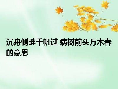 沉舟侧畔千帆过 病树前头万木春的意思