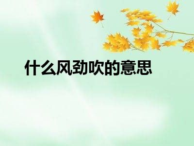什么风劲吹的意思