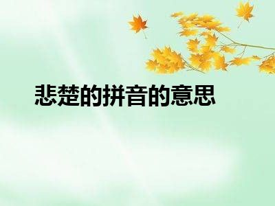 悲楚的拼音的意思
