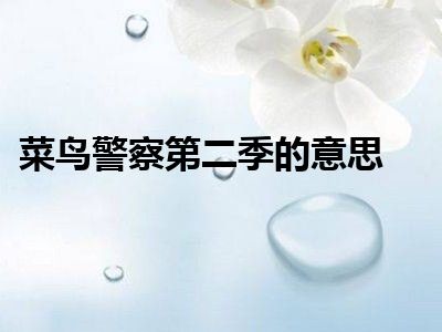 菜鸟警察第二季的意思