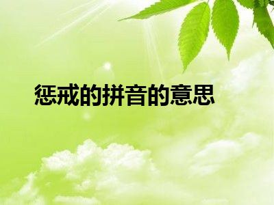 惩戒的拼音的意思