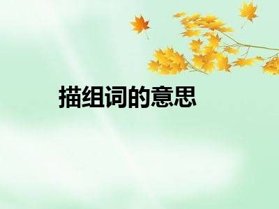 描组词的意思