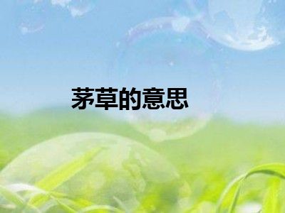 茅草的意思